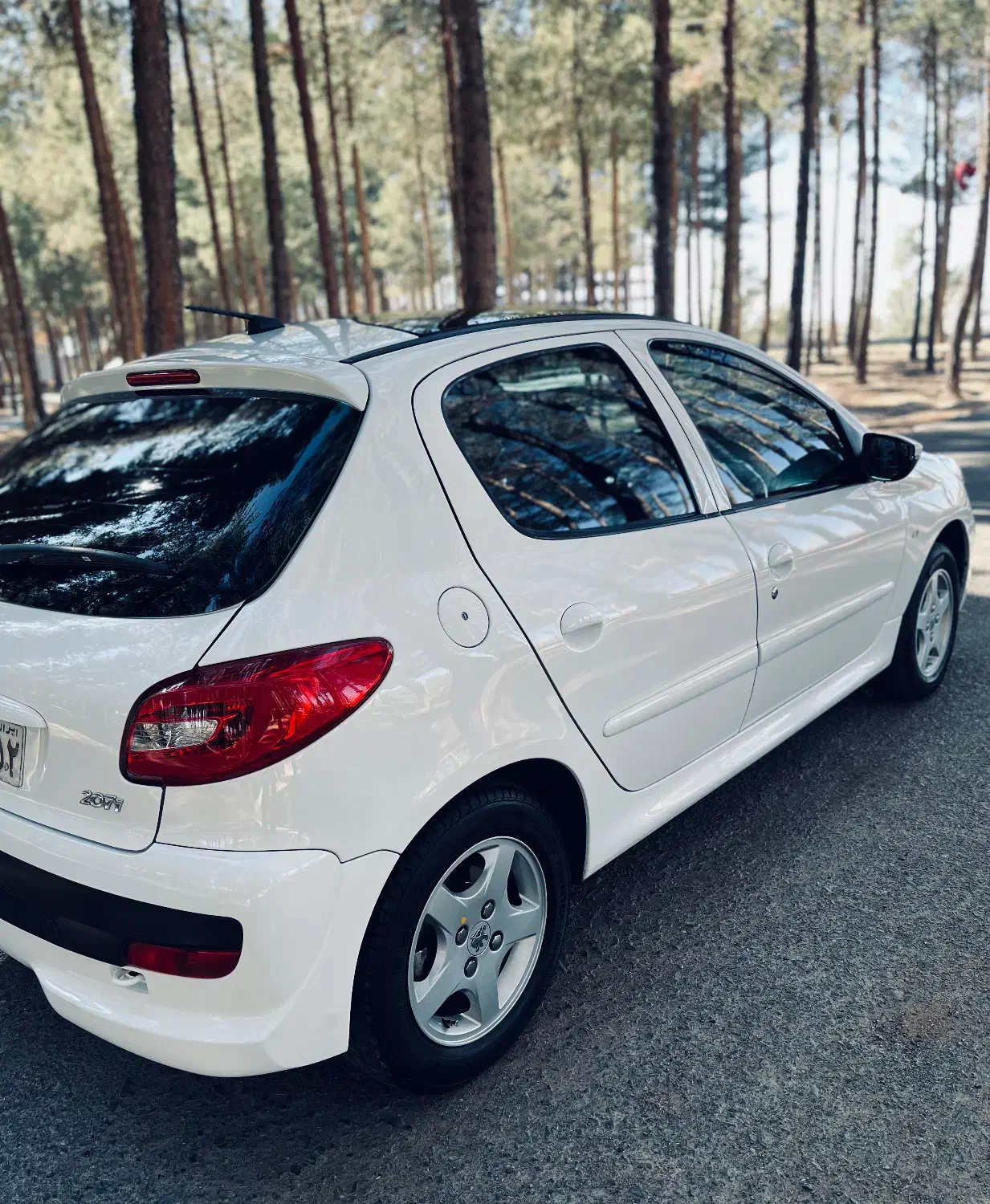 پژو ۲۰۷ پانا ۱۴۰۰|خودرو سواری و وانت|بیرجند, |دیوار