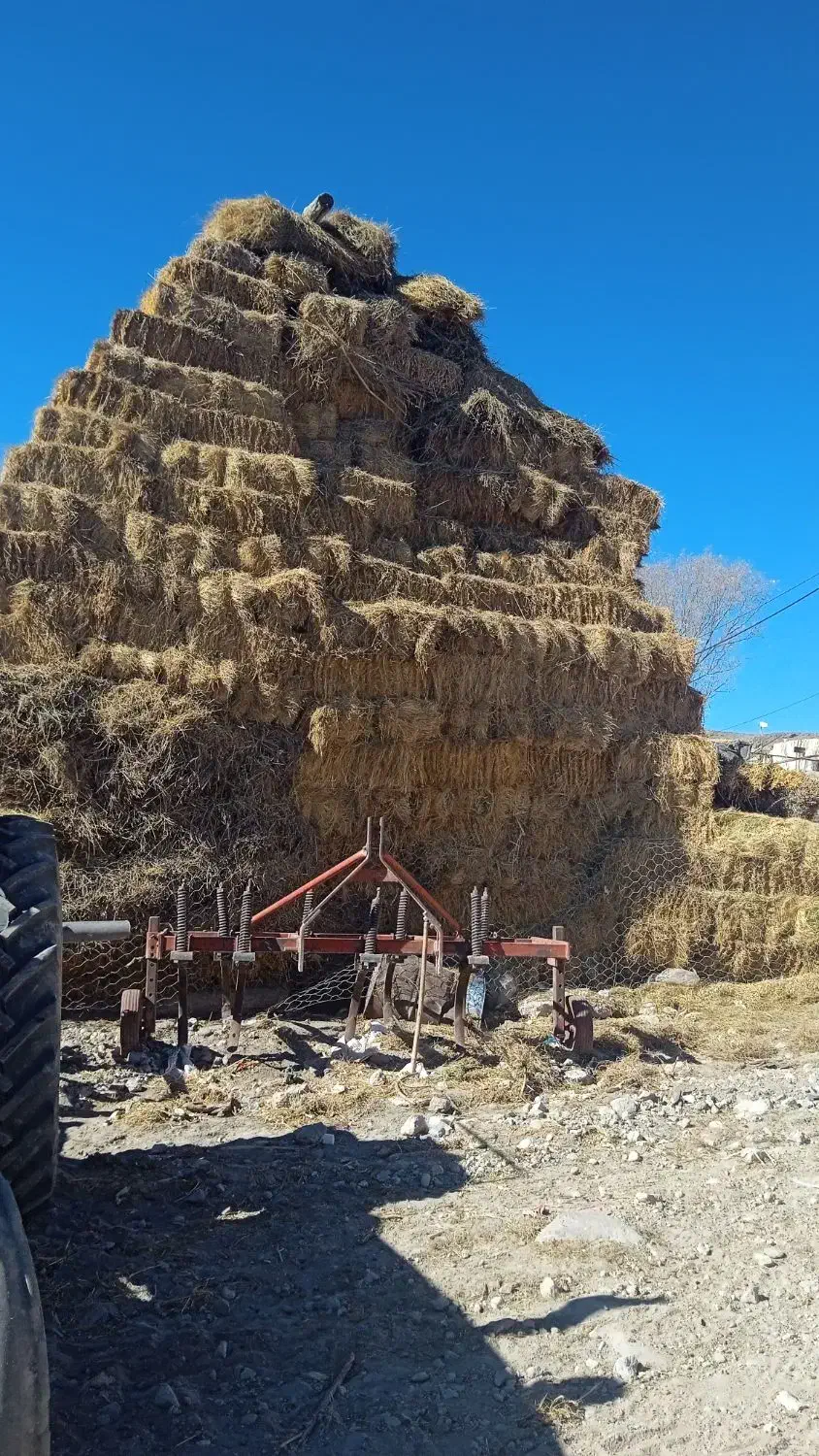 علوفه|لوازم جانبی حیوانات|نیر (اردبیل), |دیوار