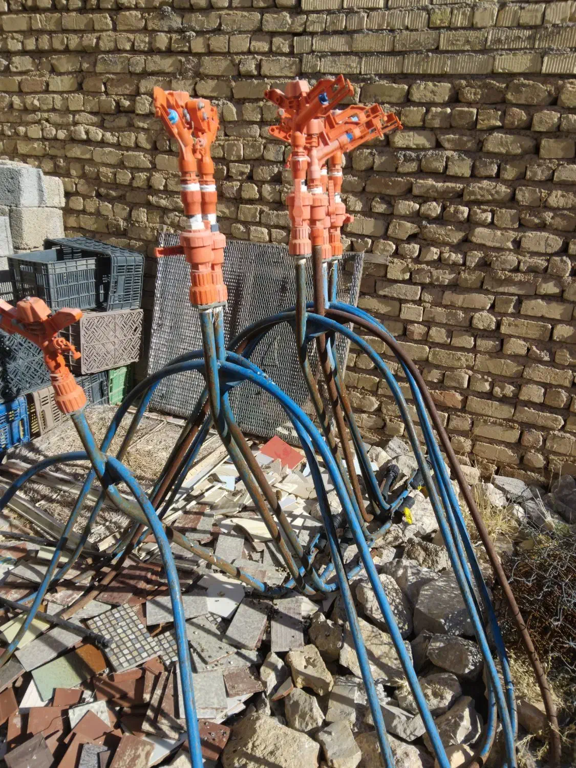 وسایل بارانی|خدمات باغبانی و درختکاری|مرودشت, نقش رستم|دیوار