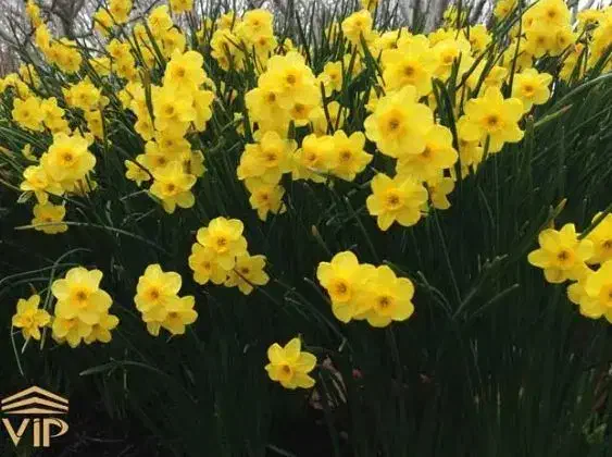 درمان|خدمات آرایشگری و زیبایی|اصفهان, فرودگاه|دیوار