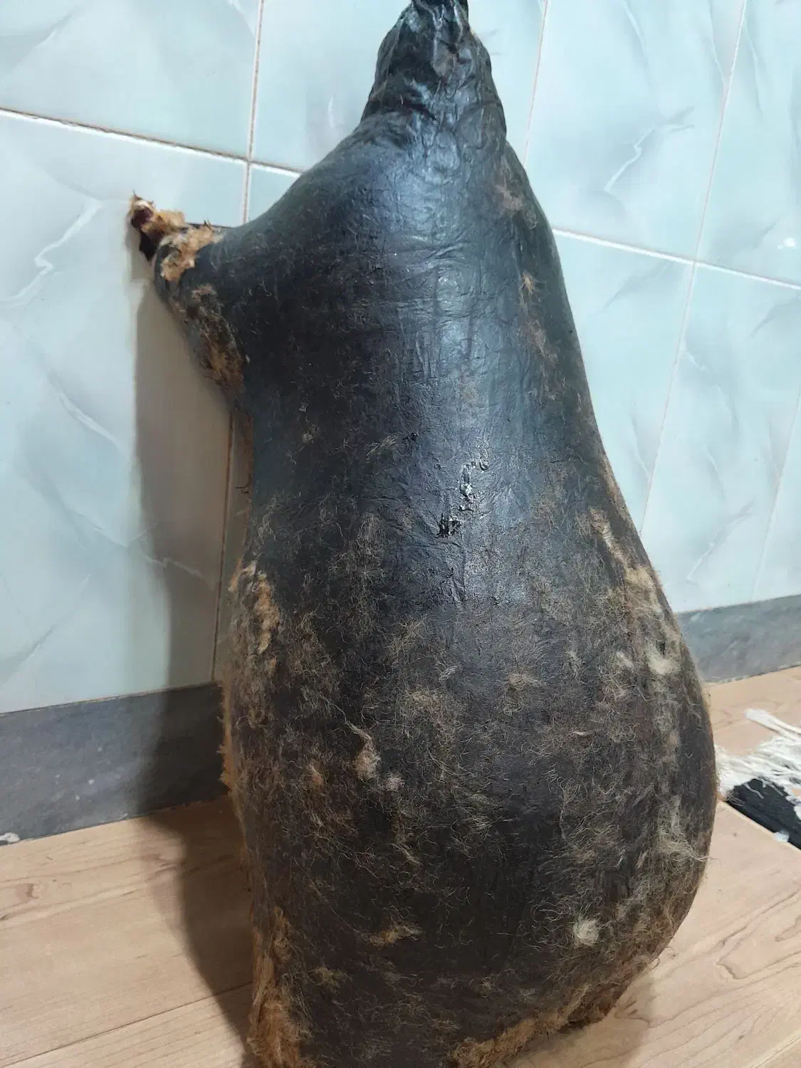 هیزه بزرگ|ظروف نگهدارنده، پلاستیکی، یک‌بارمصرف|اسلام‌‌آباد غرب, |دیوار