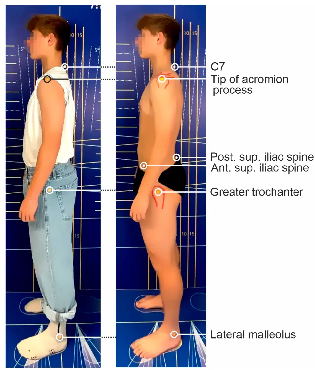 حرکت اصلاحی و آنالیز اسکلتی عضلانی|خدمات آموزشی|اصفهان, سعادتآباد|دیوار