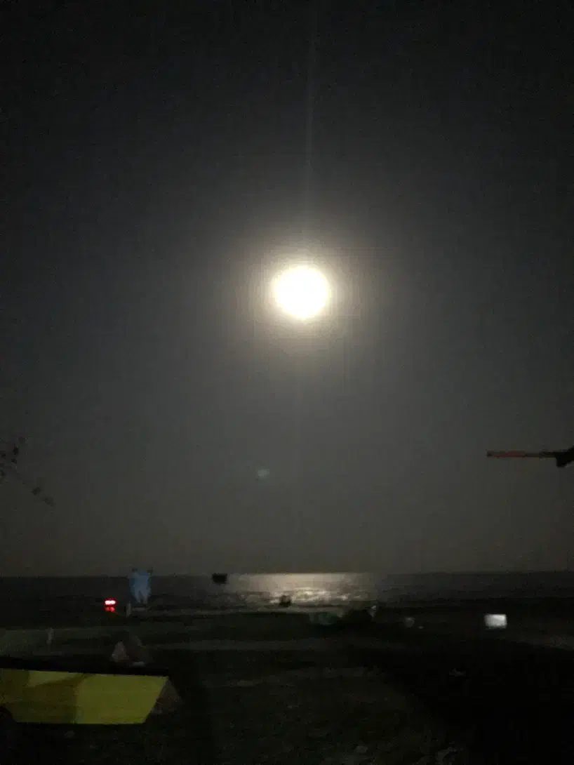 استخدام نیروی کافه ساحلی با ارتقا شغلی|استخدام خدمات فروشگاه و رستوران|لیسار, |دیوار