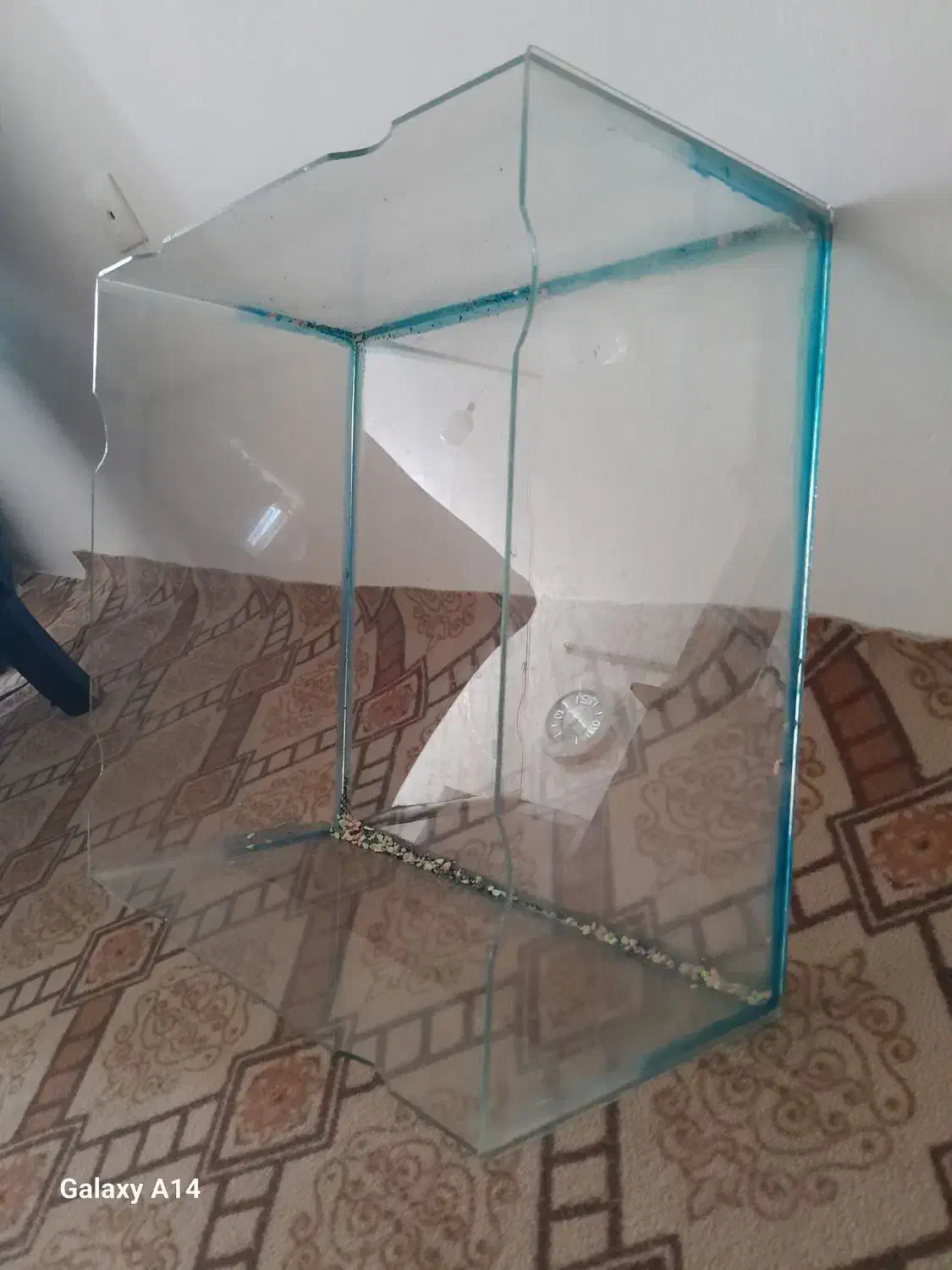 آکواریوم|ماهی|الوند, |دیوار