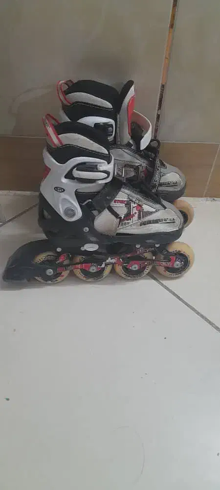 کفش|دوچرخه، اسکیت، اسکوتر|شیراز, محراب|دیوار