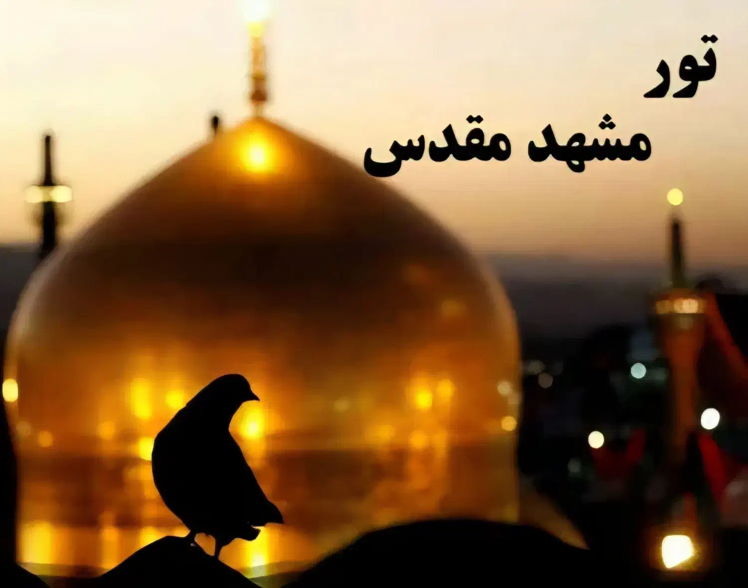 تور زیارتی مشهد مقدس|تور و چارتر|جهرم, |دیوار
