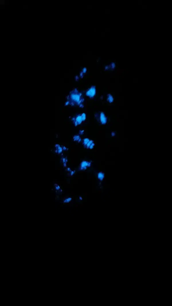 سنگ‌ شب چراغ|کلکسیون اشیاء عتیقه|قزوین, |دیوار