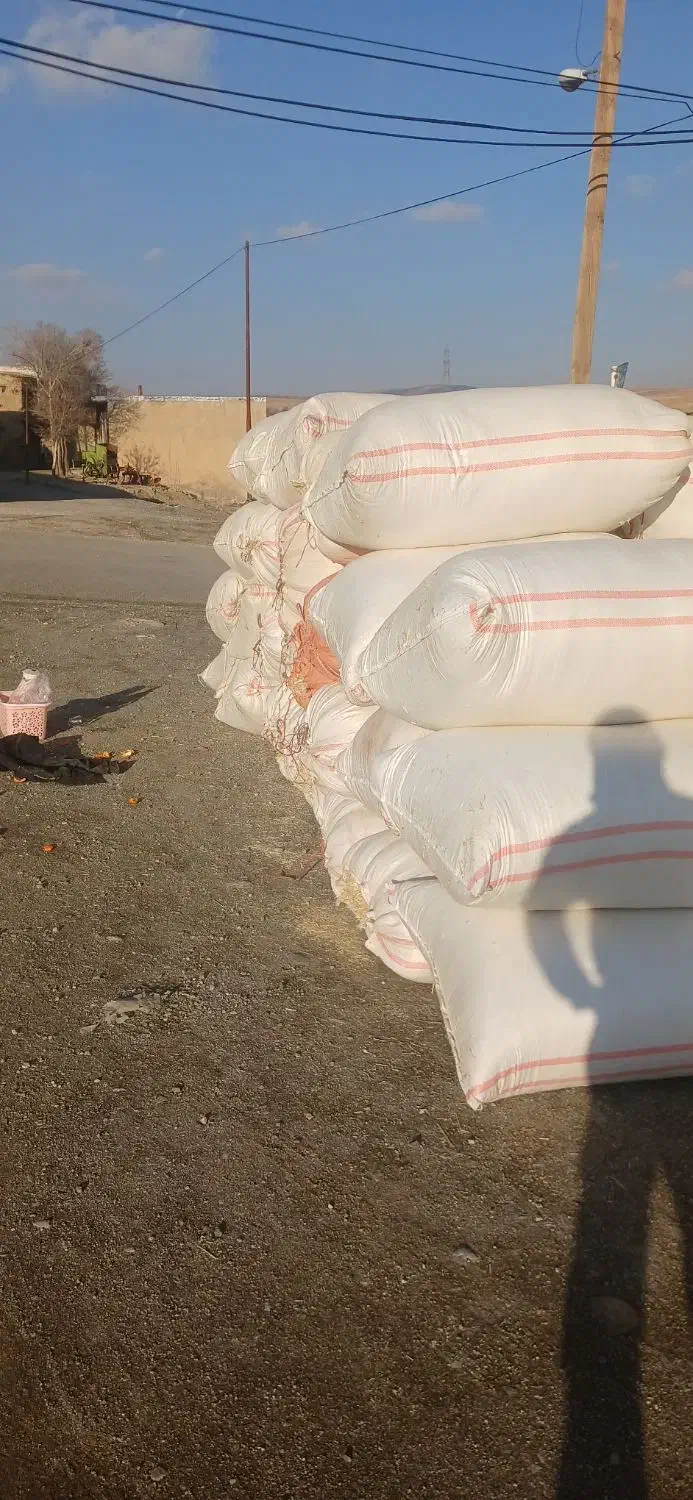 کاه خرمن کوب|لوازم جانبی حیوانات|دورود, |دیوار