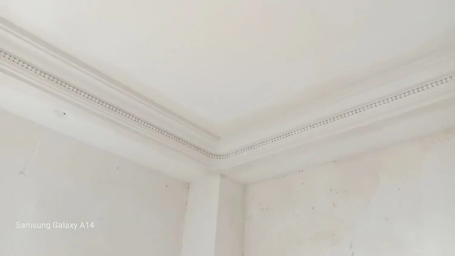 گچکاری|خدمات پیشه و مهارت|لاهیجان, شهرک سلمان فارسی|دیوار