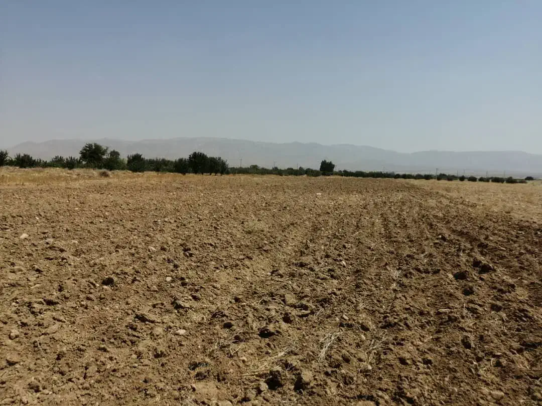 اجاره زمین زراعی|اجارهٔ دفتر صنعتی، کشاورزی، تجاری|میمند, |دیوار