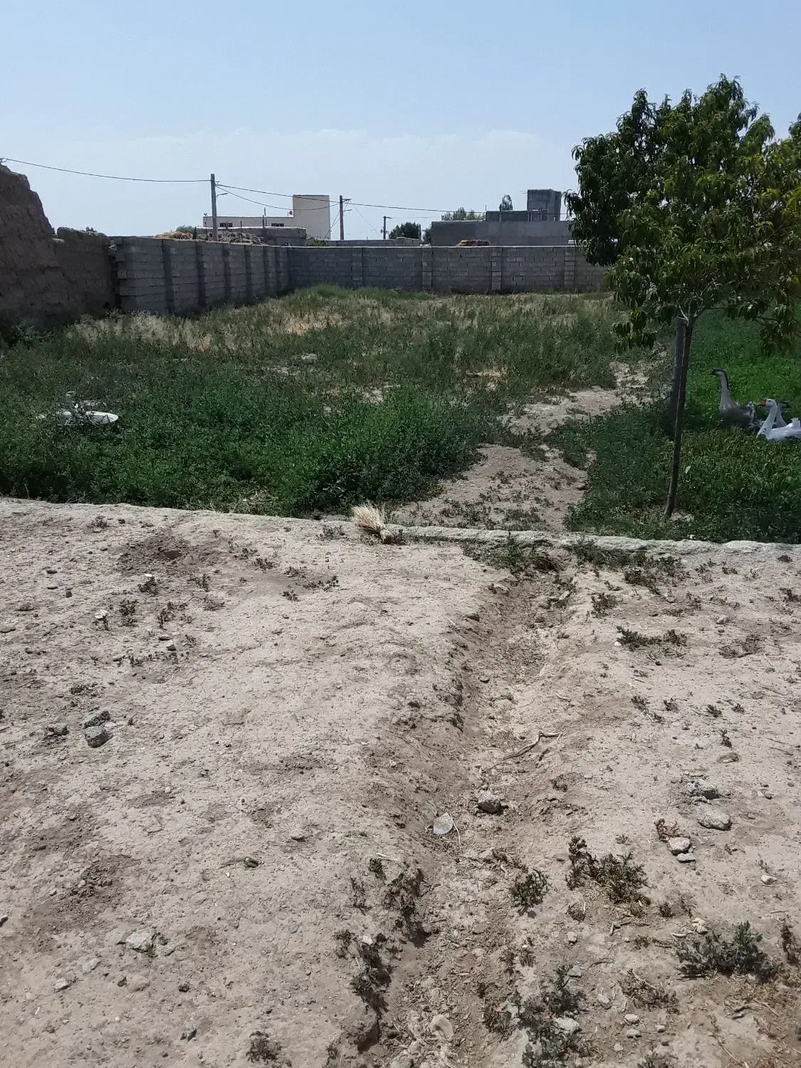 خانه ویلایی وسوله باغ درروستاتقی دیزج|فروش خانه و ویلا|ارشق, |دیوار