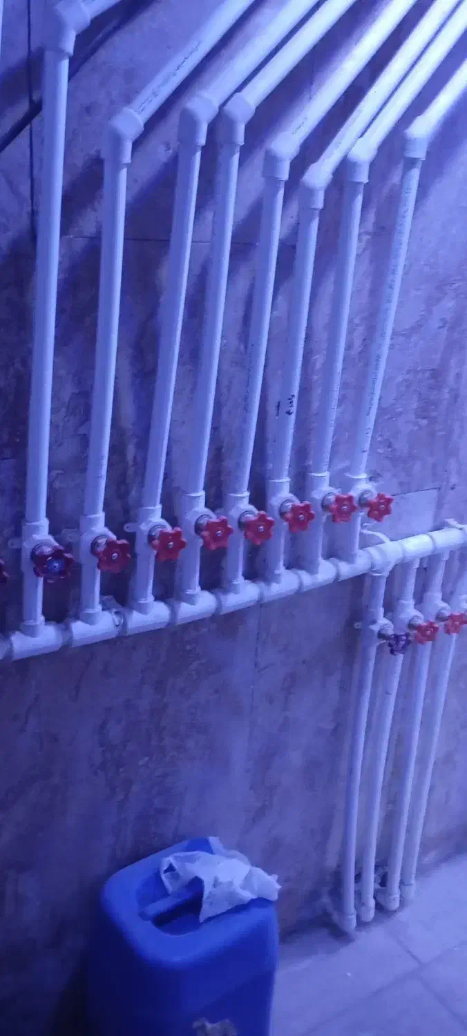 اجرا و بازسازی ساختمانی|خدمات پیشه و مهارت|پردیس, فاز ۲|دیوار