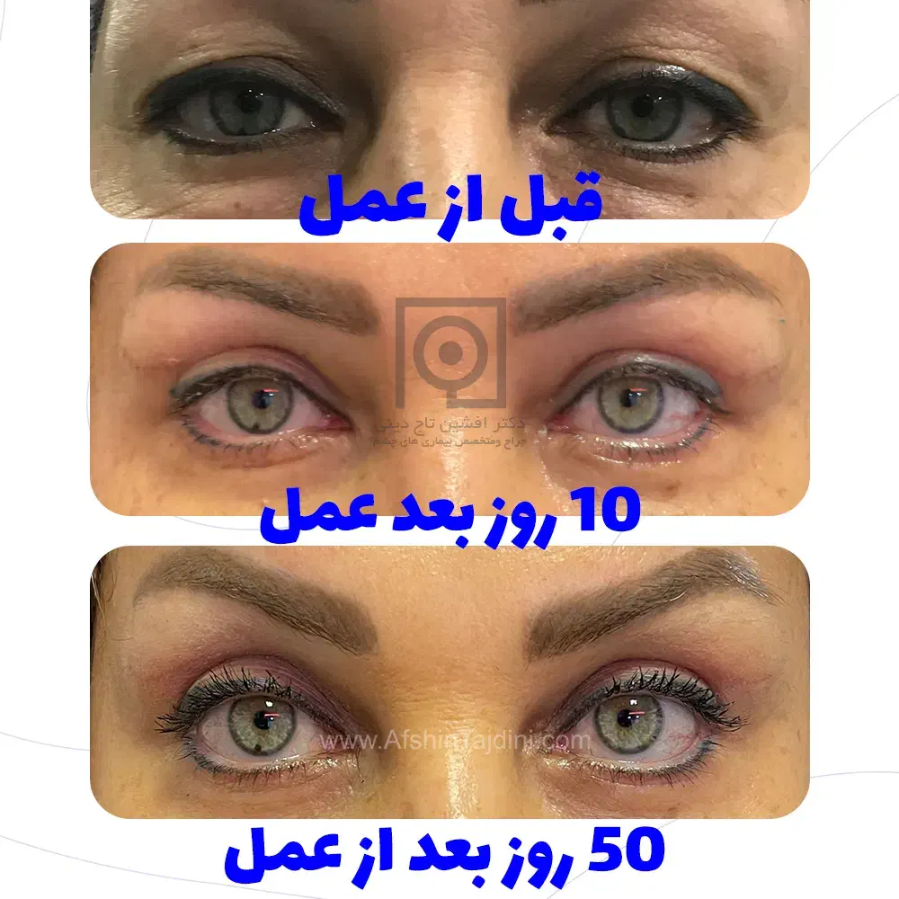 راهنمایی|فعالیت داوطلبانه تحقیقاتی|همدان, |دیوار