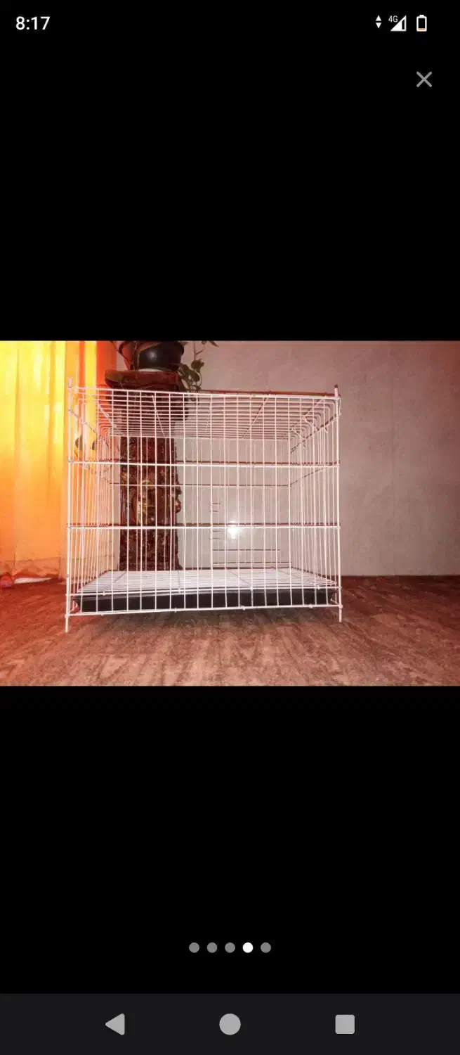 قفس بزرگ پرنده نو|لوازم جانبی حیوانات|بوشهر, |دیوار