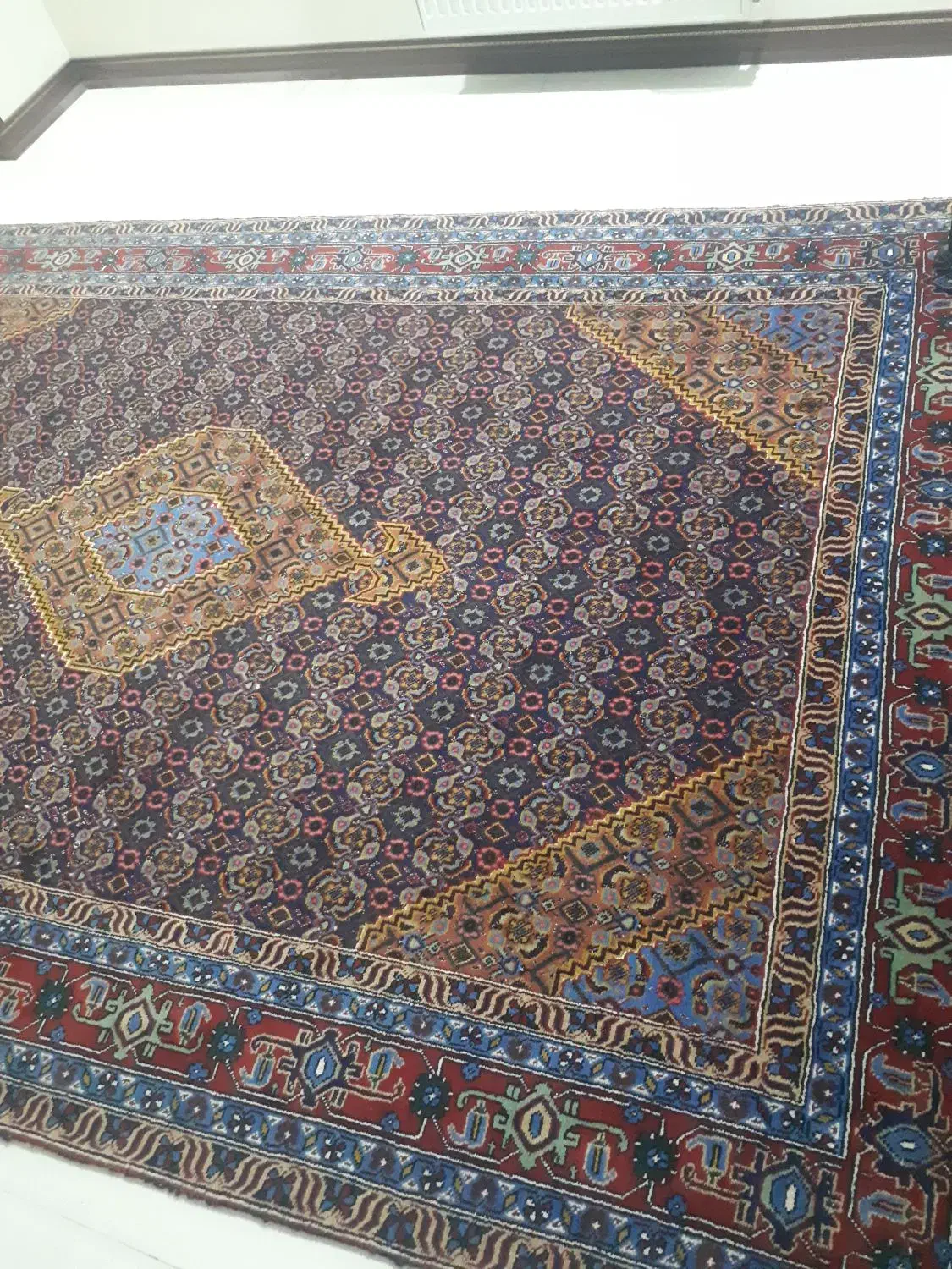 فرش دستباف ۶ متری|فرش|رشت, حومه رشت|دیوار