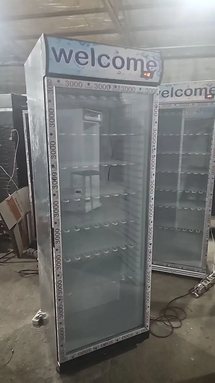 فریزرایستاده پروتئینی وبستنی|فروشگاه و مغازه|قشم, |دیوار