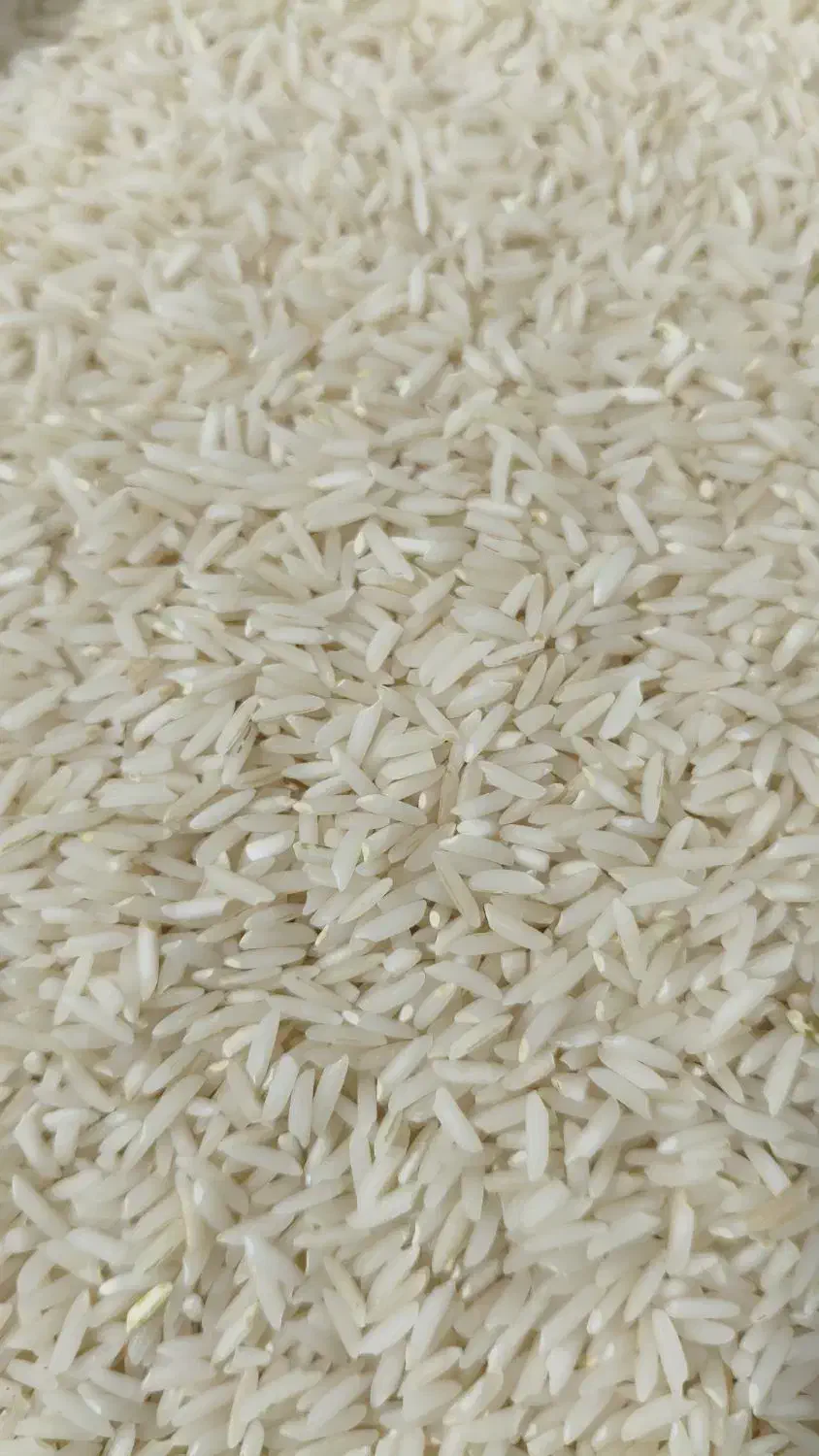 برنج هاشمی دره رود|خوردنی و آشامیدنی|اصلاندوز, |دیوار