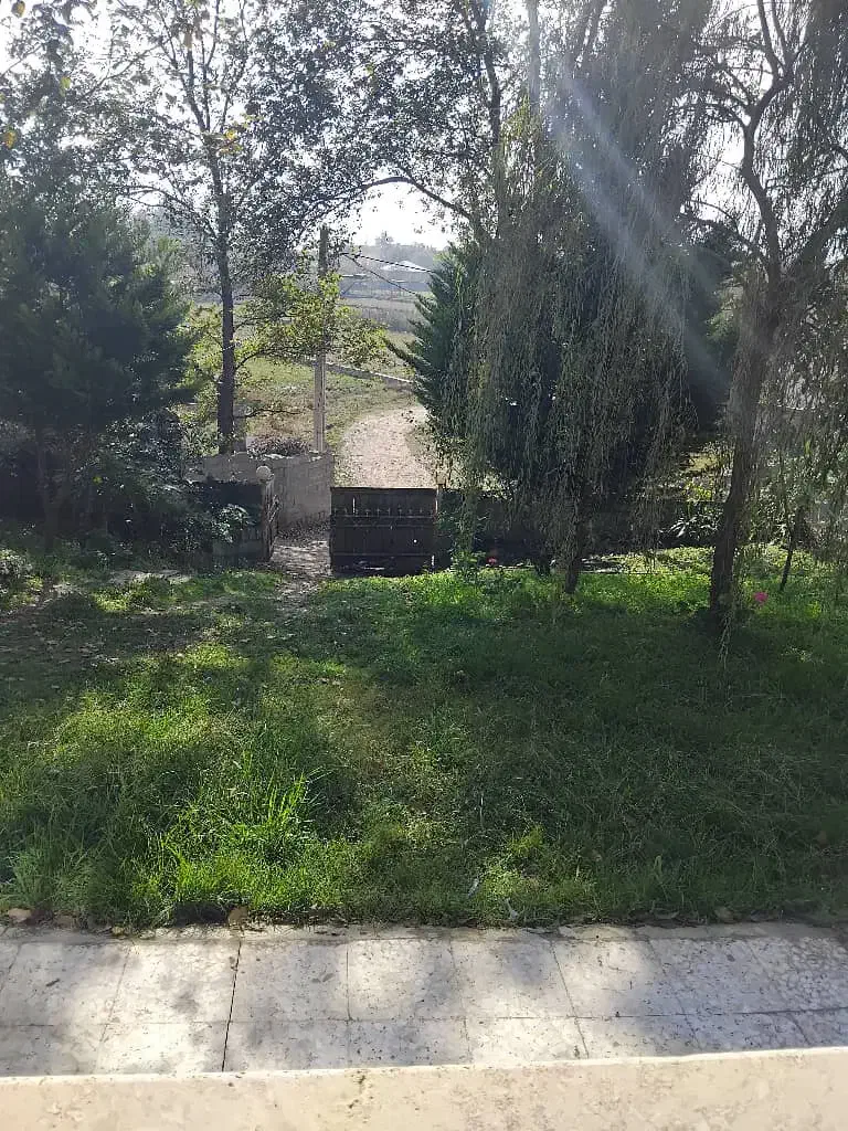 اجاره سوییت|اجارهٔ خانه و ویلا|ماسال, |دیوار