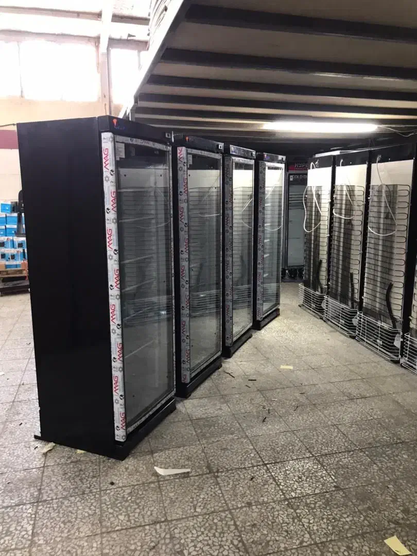 تو لید فرریلی فرپیتزا نوژن سرخ کن فر ریلی|کافیشاپ و رستوران|چهاردانگه (تهران), |دیوار