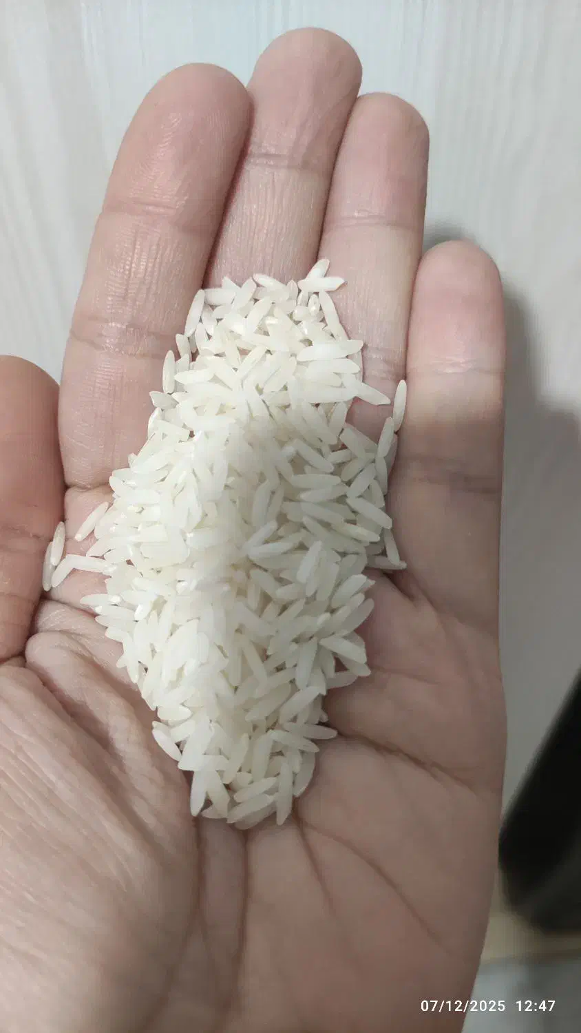 برنج مرغوب هاشمی سورتینگ زده|خوردنی و آشامیدنی|بندر انزلی, ساحل قو|دیوار