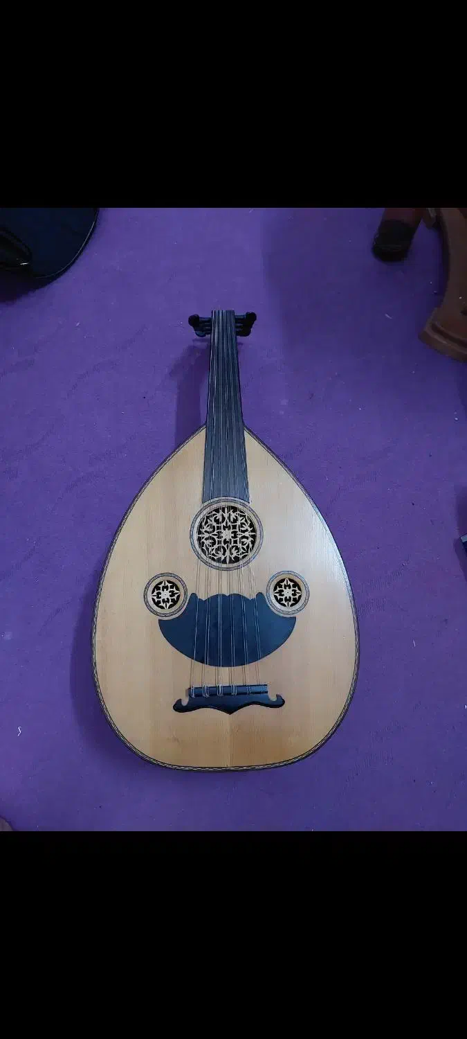 فروش مجموعه ساز ایرانی|سازهای سنتی|تهران, پونک|دیوار