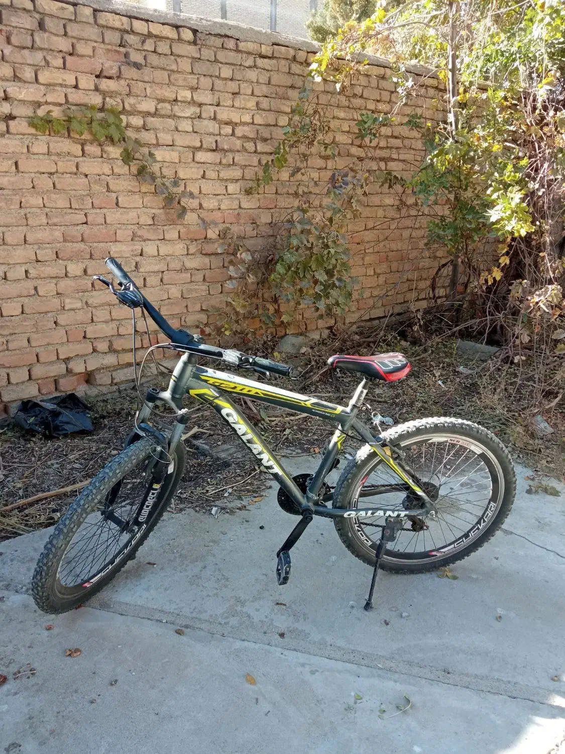 دوچرخه فوری فروشی|دوچرخه، اسکیت، اسکوتر|تکاب, |دیوار