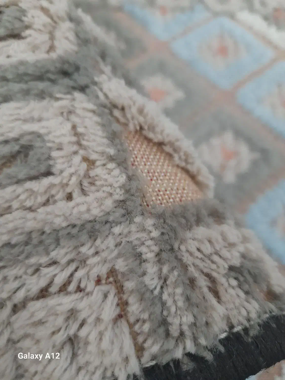 یک جفت پادری|پادری|همدان, |دیوار