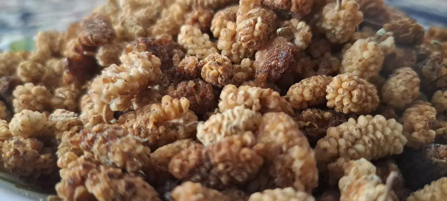 توت خشک محلی شیرین|خوردنی و آشامیدنی|چاراویماق, |دیوار