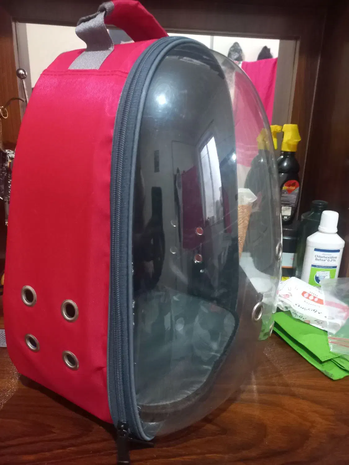 باکس و کوله پشتی فضای حمل گربه و سگ نژاد کوچیک|لوازم جانبی حیوانات|رشت, کوی حسینی|دیوار