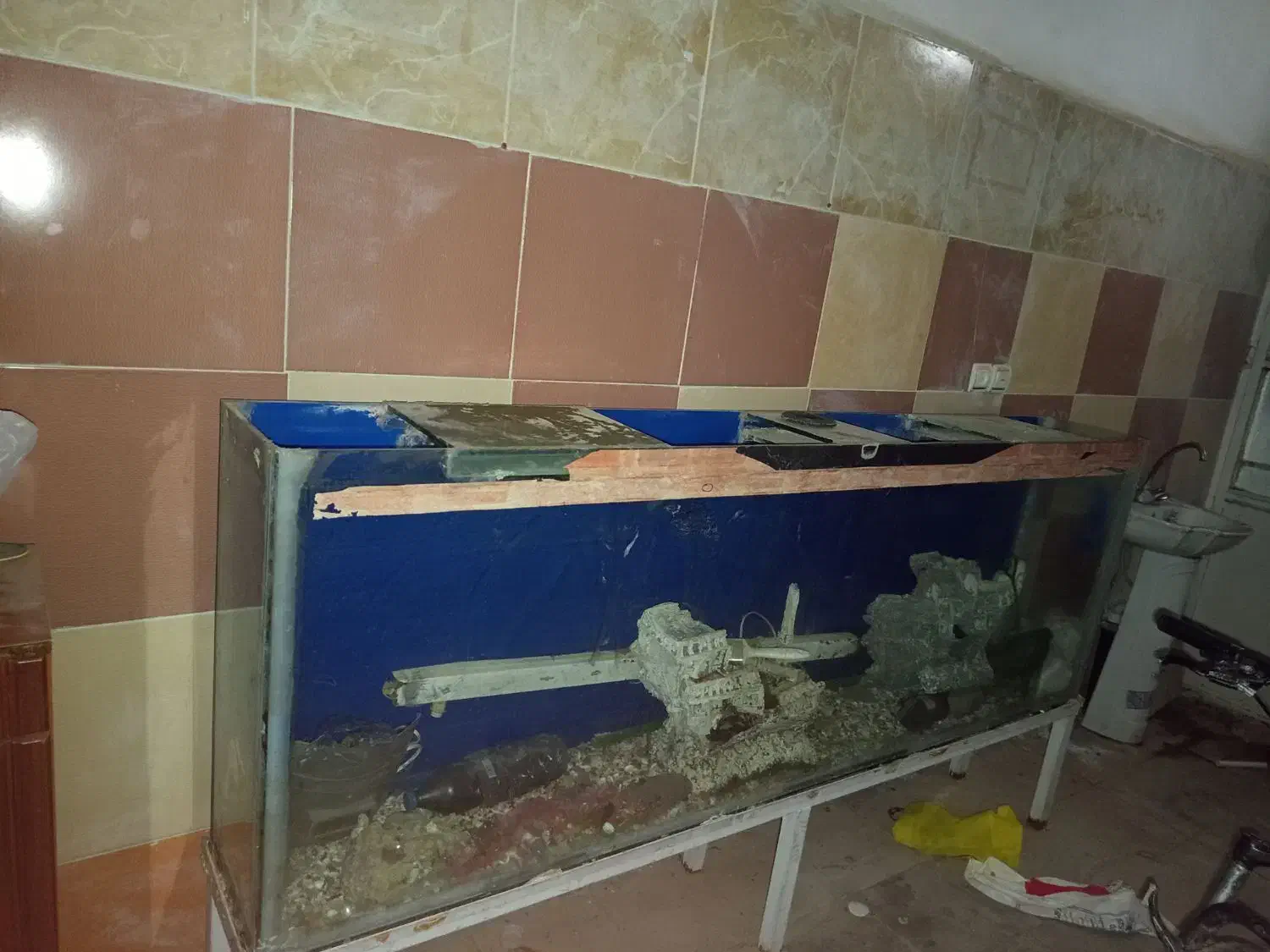 فروش آکواریوم|ماهی|سیرجان, |دیوار