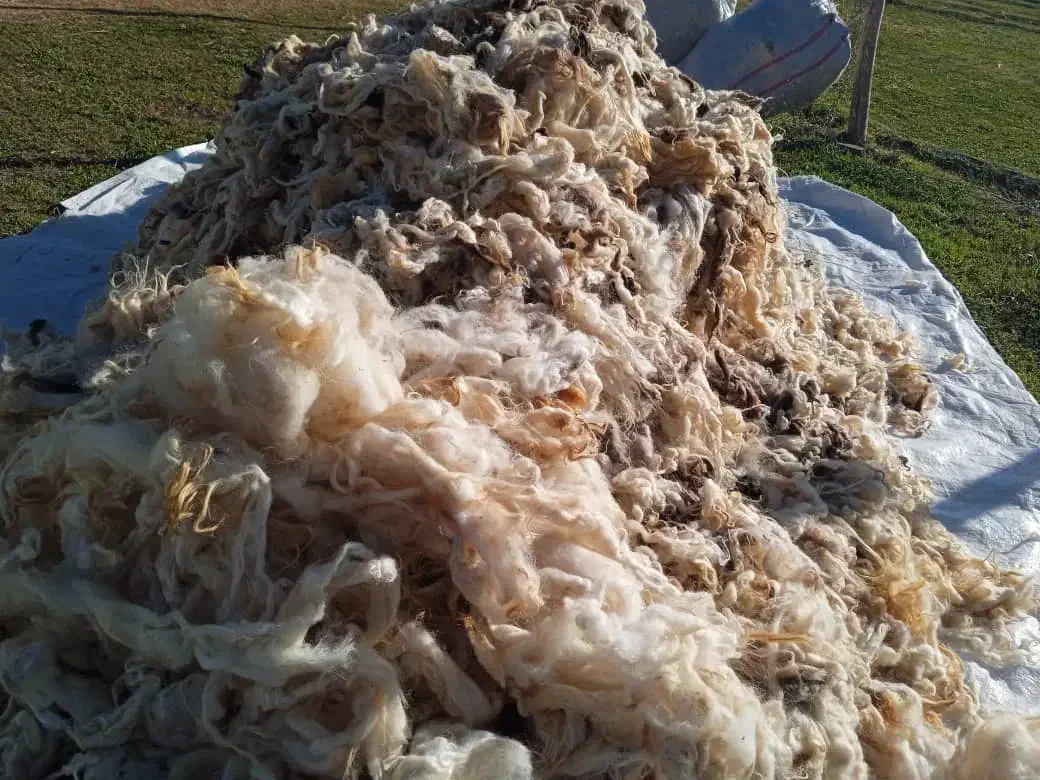 پشم گوسفند|رختخواب، بالش، پتو|پلدشت, |دیوار