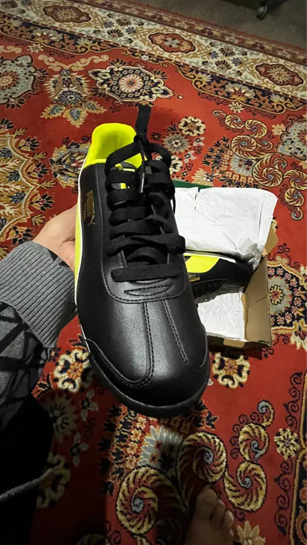 پوما|کیف، کفش، کمربند|رشت, گلباغ نماز|دیوار