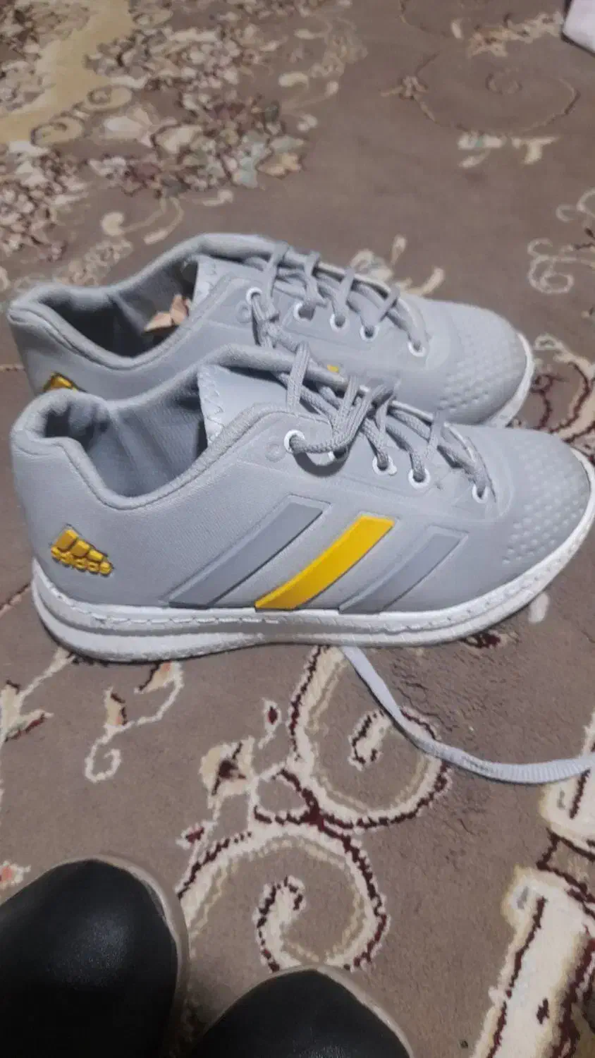 ۳.۴۳|کیف، کفش، کمربند|قرچک, قشلاق جیتو|دیوار