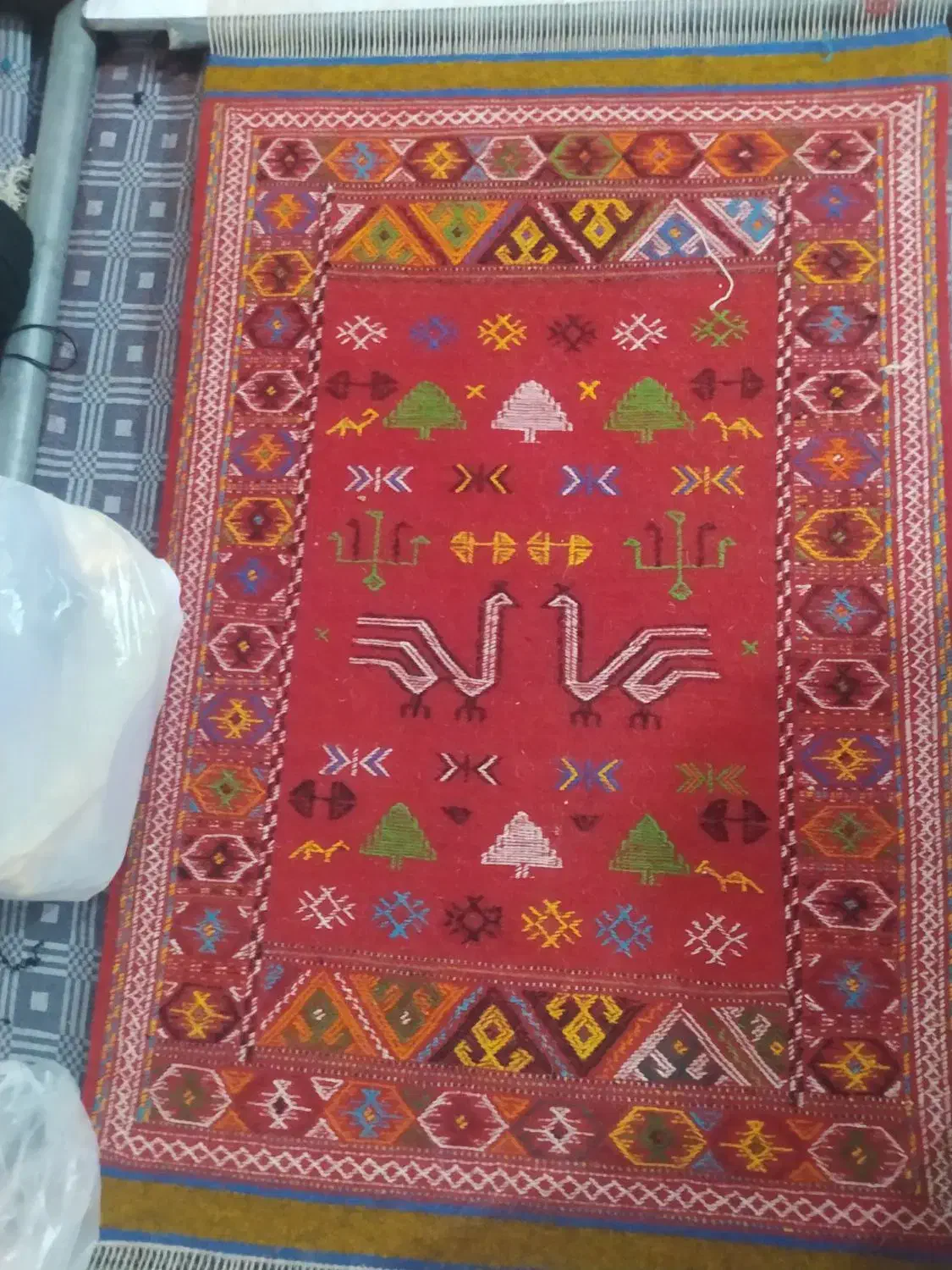 گلیم دست باف شب علدا|گلیم، جاجیم، گبه|بجنورد, |دیوار