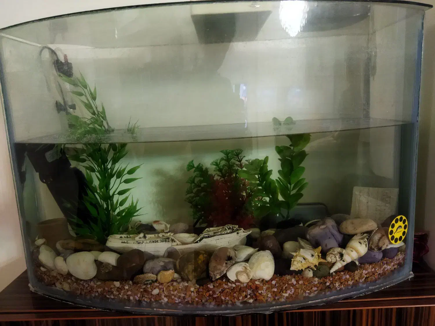 آکواریوم|ماهی|تهران, آهنگ|دیوار