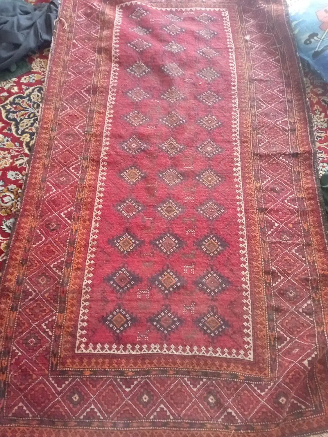 فرش دستبافت|فرش|زاهدان, |دیوار