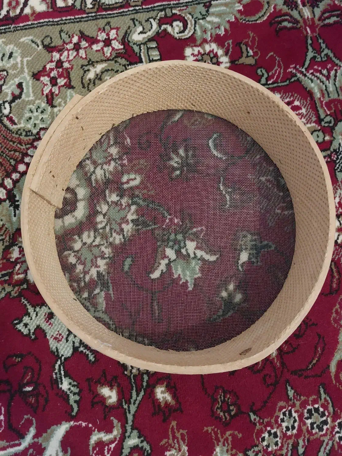 سبد میوه|ظروف سرو و پذیرایی|سهند, |دیوار