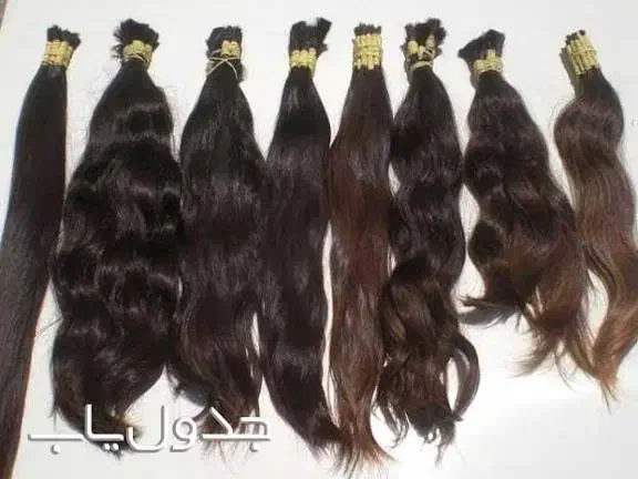 فروش وخریدار اصلی موهای طبیعی بانوان در شرق گیلان|آرایشی، بهداشتی، درمانی|لاهیجان, طالقانی|دیوار
