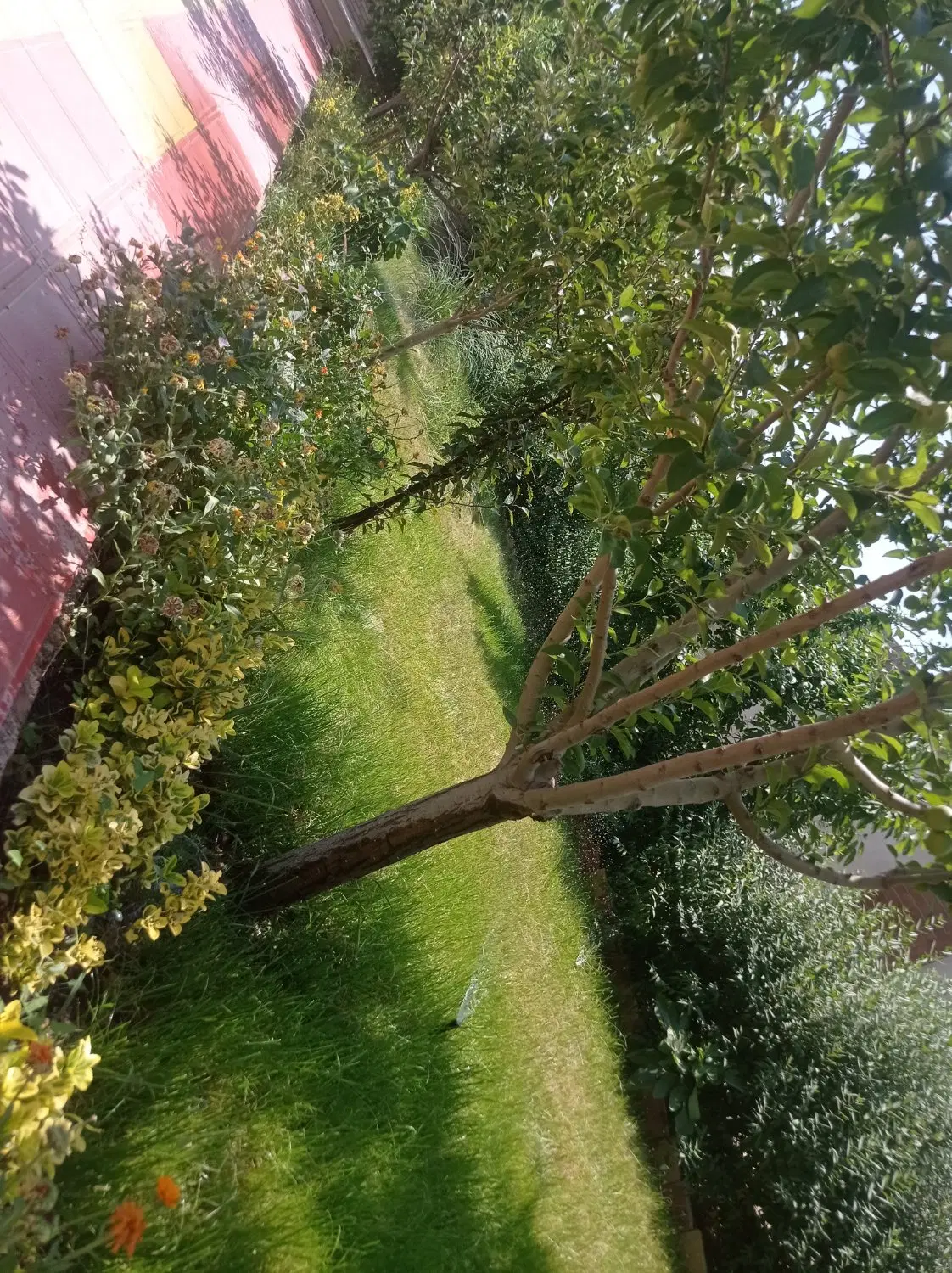 تصویر 5