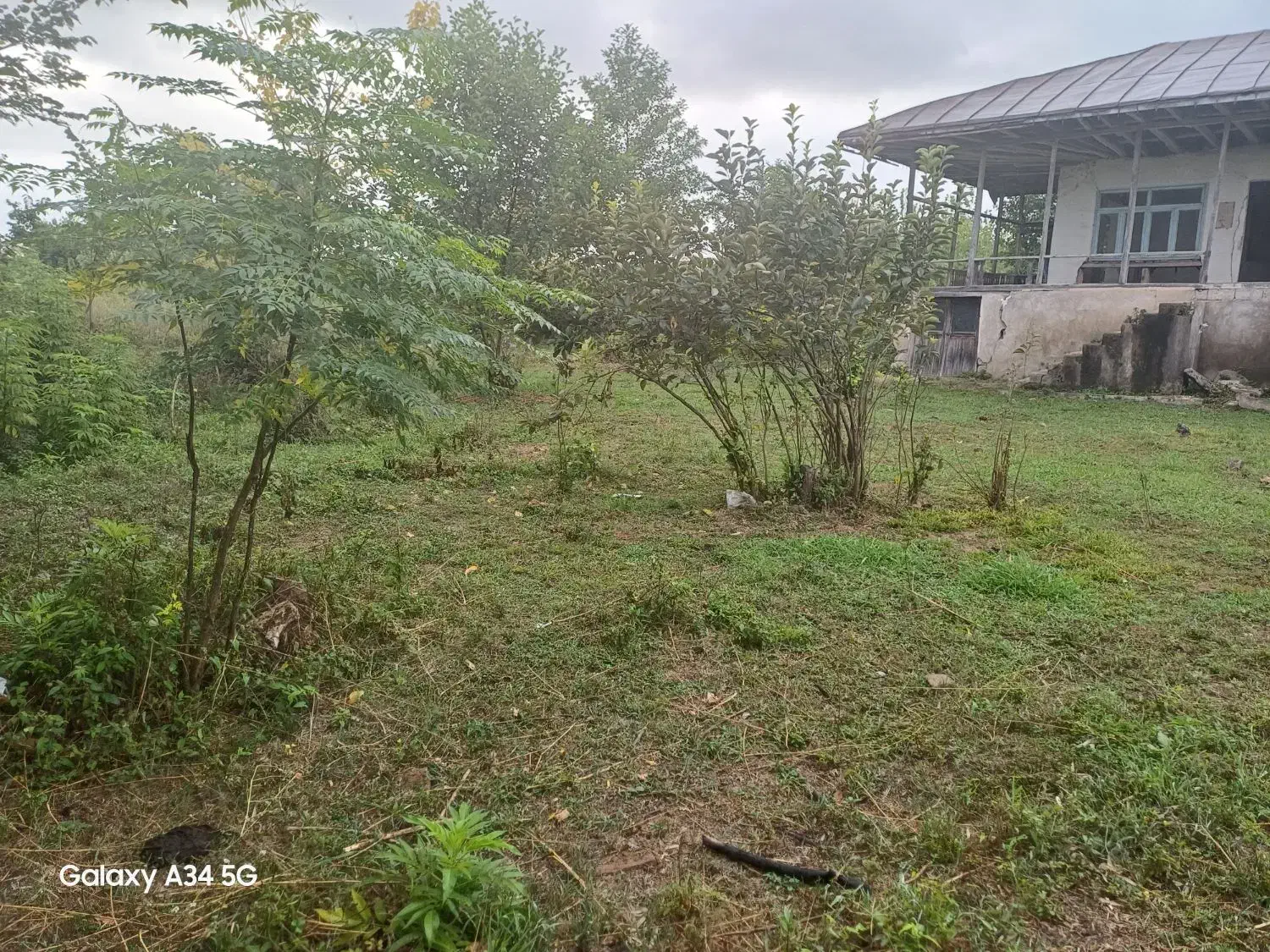 فروش خانه ویلایی ۱ هکتار ۳ خوابه در گلسار|فروش خانه و ویلا|رشت, گلسار|دیوار