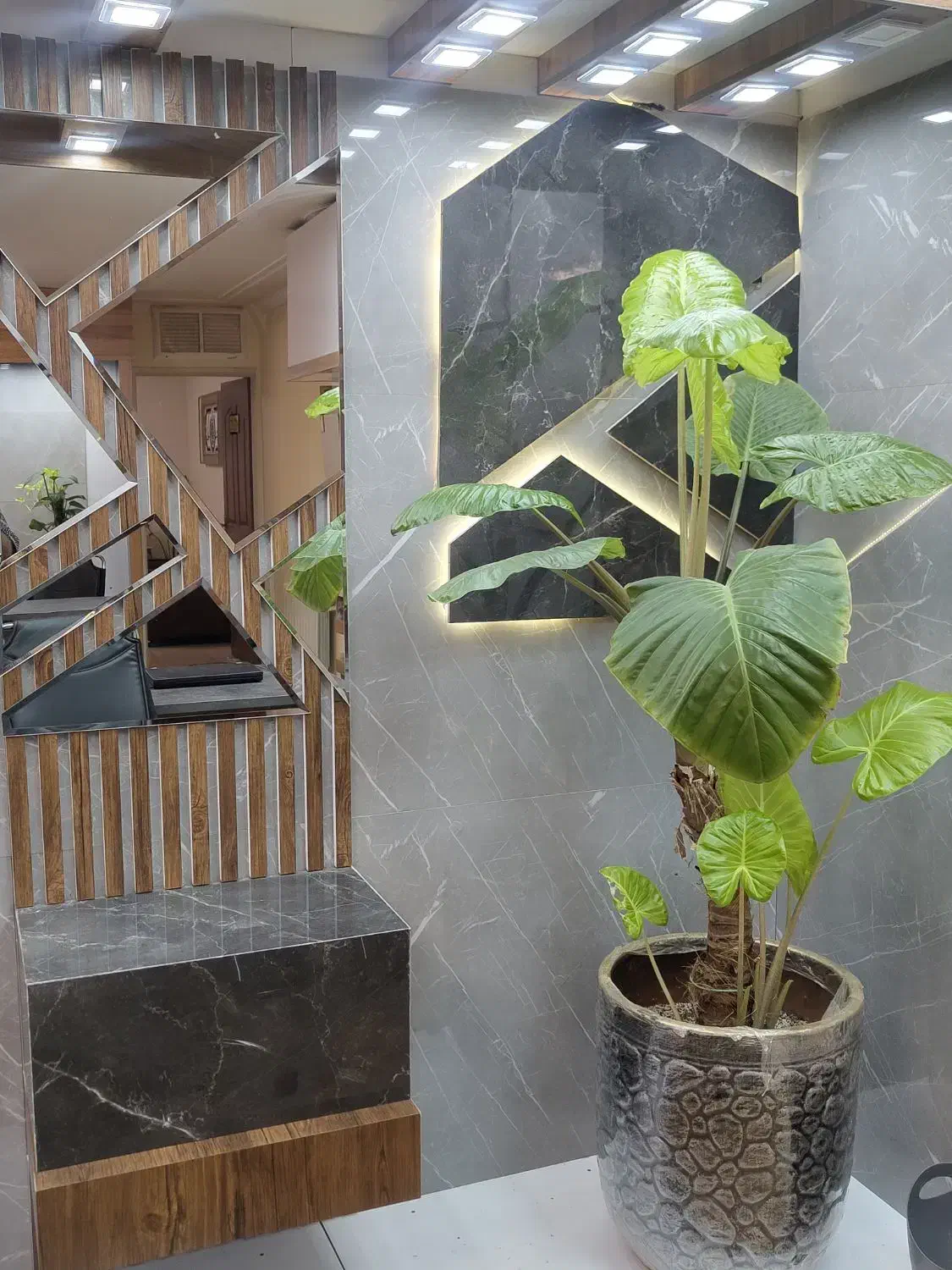 جشنواره فروش سرامیک آغاز شد|مصالح و تجهیزات ساختمان|فسا, |دیوار