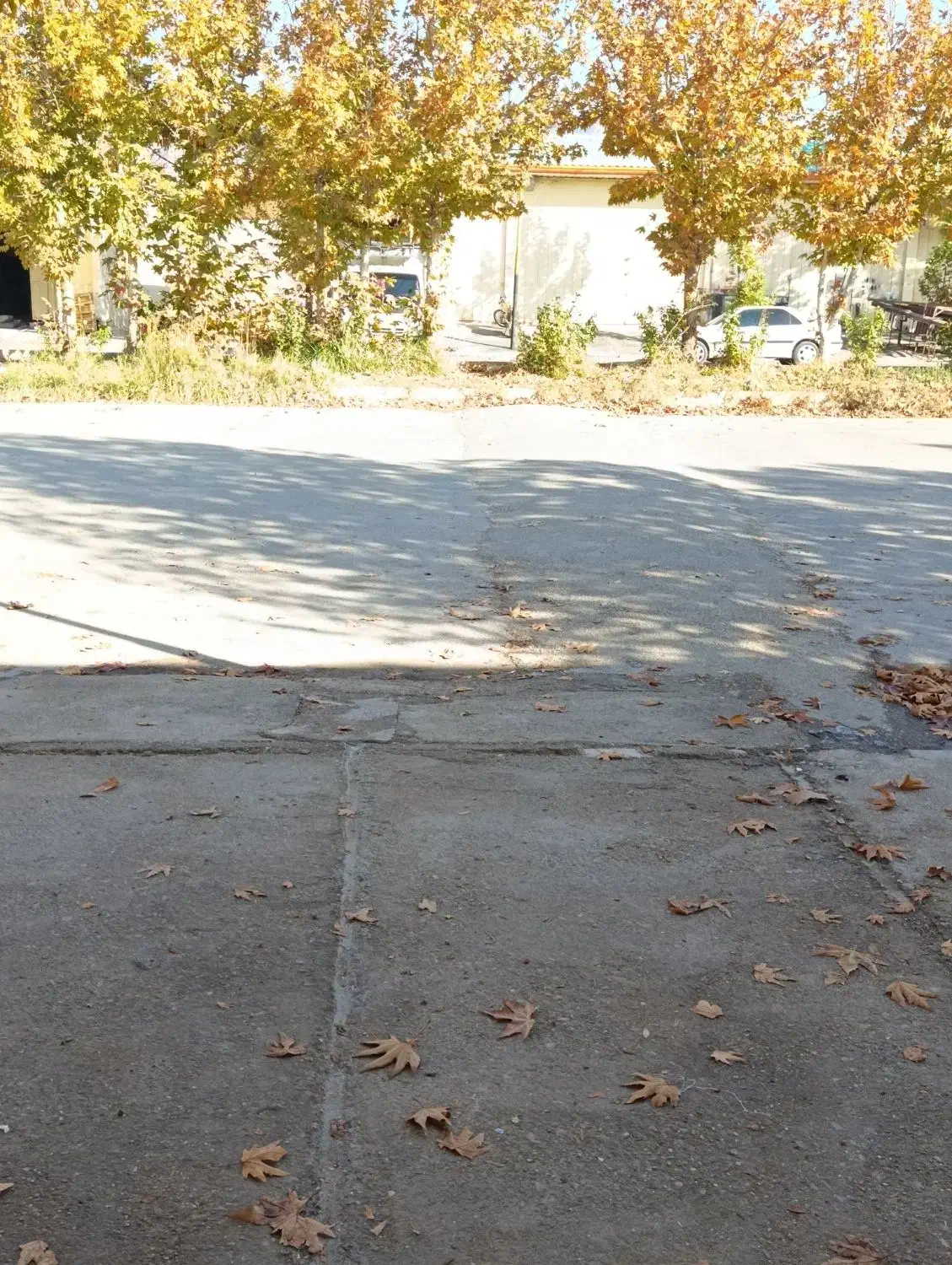 استخدام کارگر برای پخش مواد غذایی|استخدام خدمات فروشگاه و رستوران|خرمآباد, |دیوار