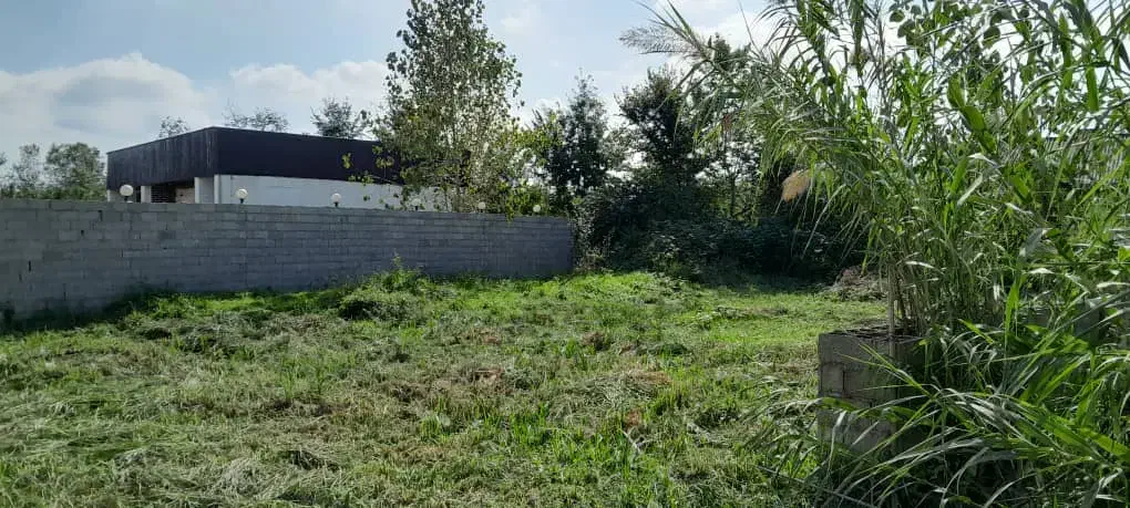 فروش۳۰۰متری/زمین باغی داخل طرح/برجاده/اطراف شفت|فروش زمین و ملک کلنگی|شفت, |دیوار