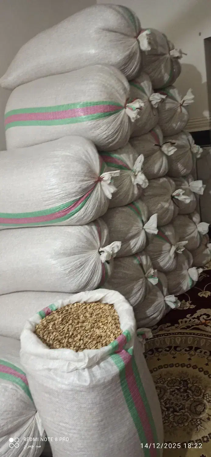 تخم هندوانه|خوردنی و آشامیدنی|کلاله, |دیوار