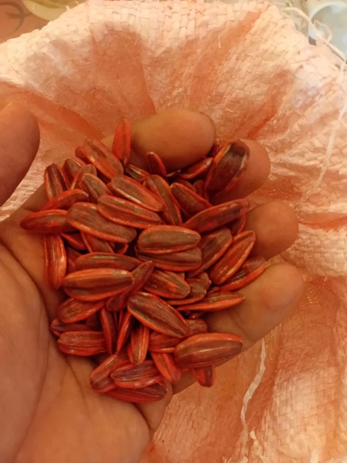 تخمه s400|خوردنی و آشامیدنی|خوی, |دیوار
