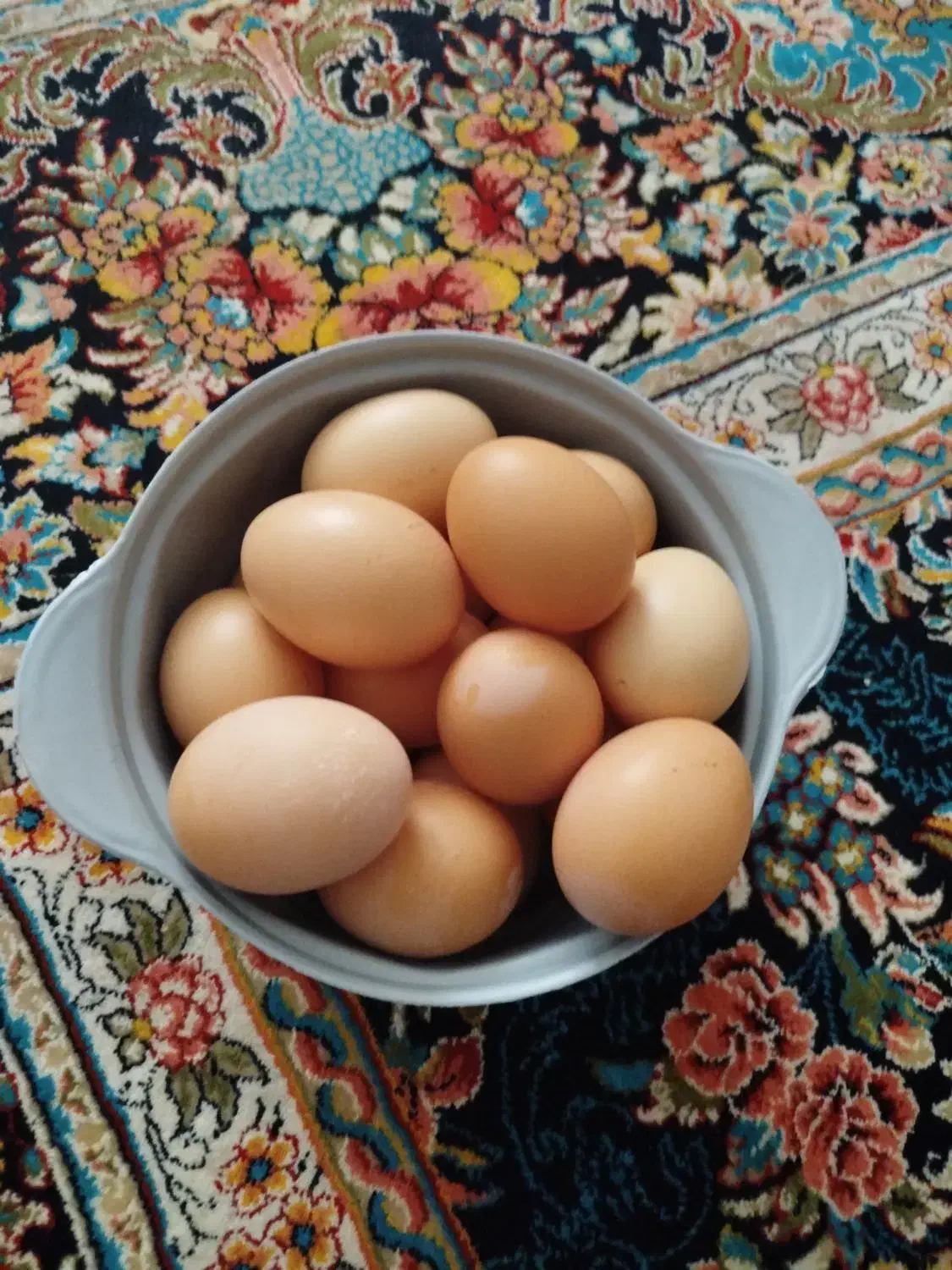 تخم مرغ محلی|خوردنی و آشامیدنی|ساوه, |دیوار