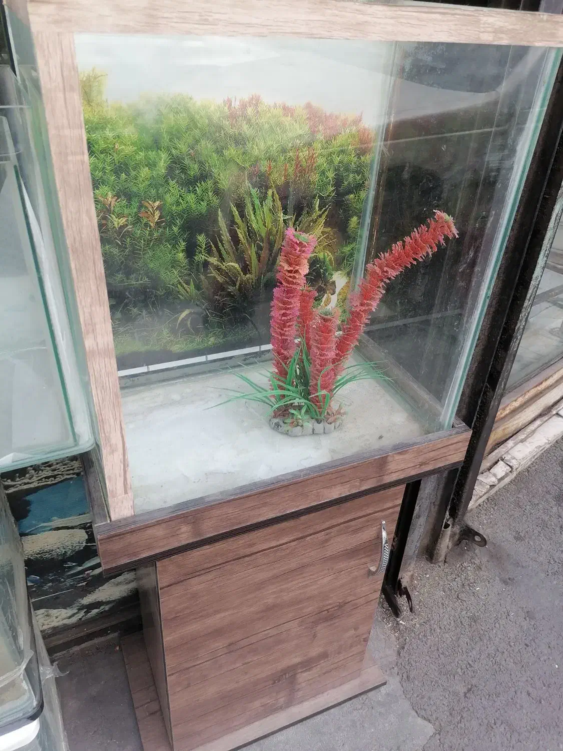 پایه آکواریوم 120در 40|ماهی|قدس, شهرقدس|دیوار