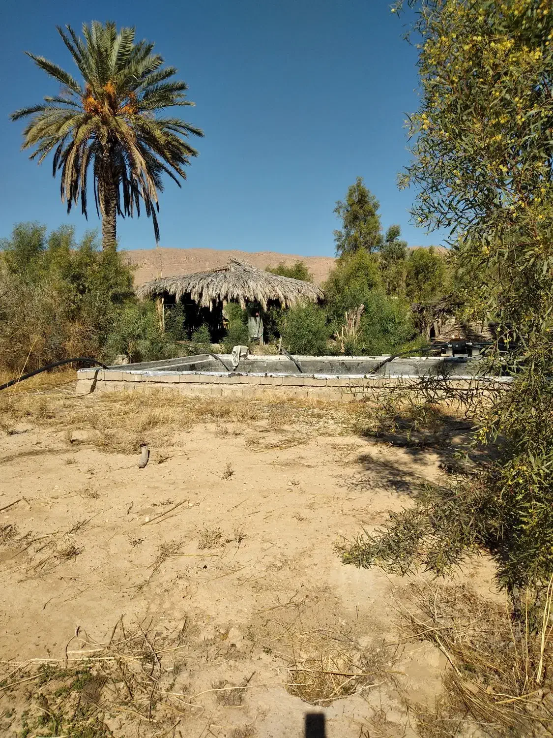 زمین خفر|فروش دفتر صنعتی، کشاورزی، تجاری|خفر, |دیوار