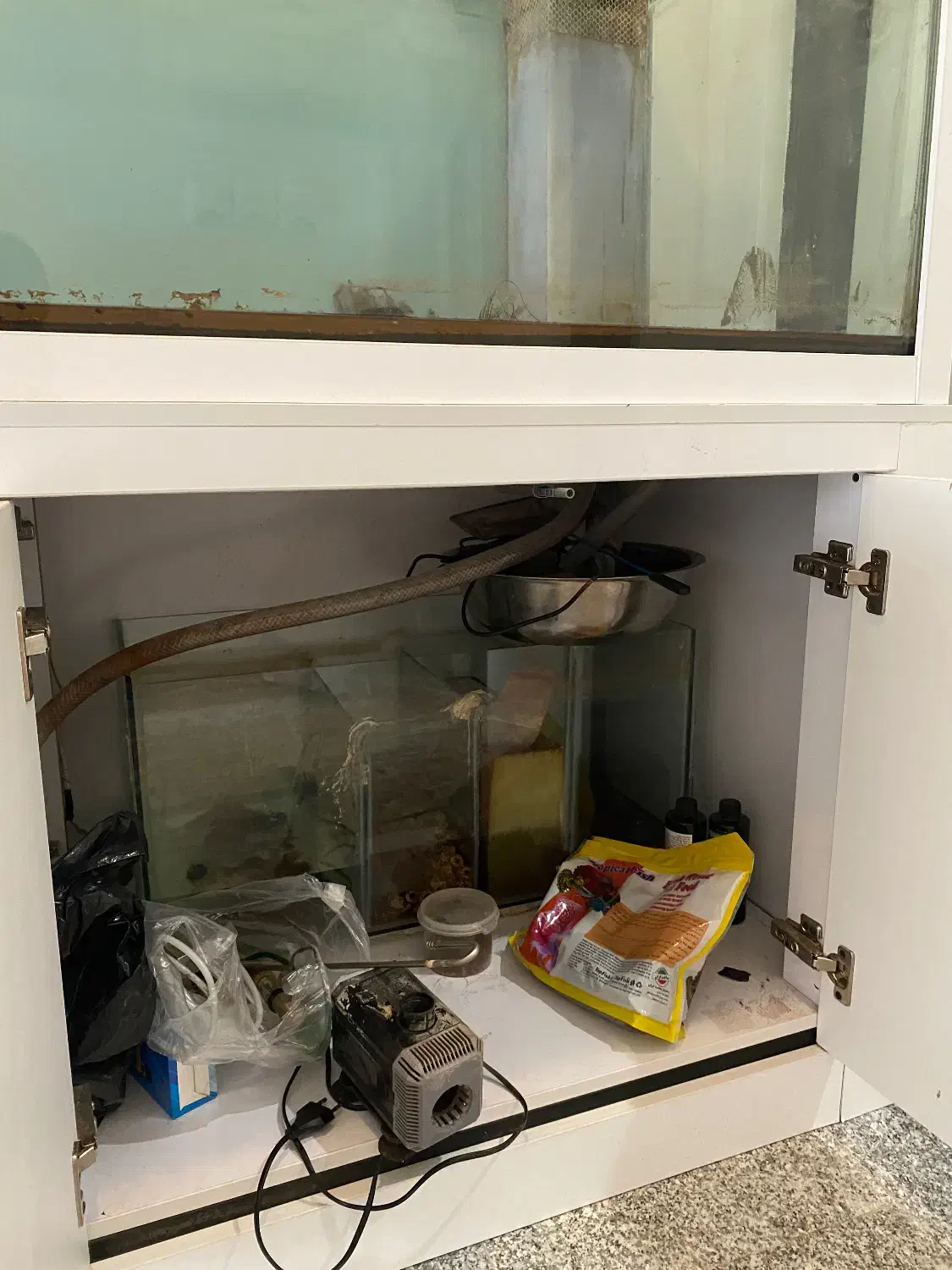 آکواریوم|ماهی|ارومیه, |دیوار