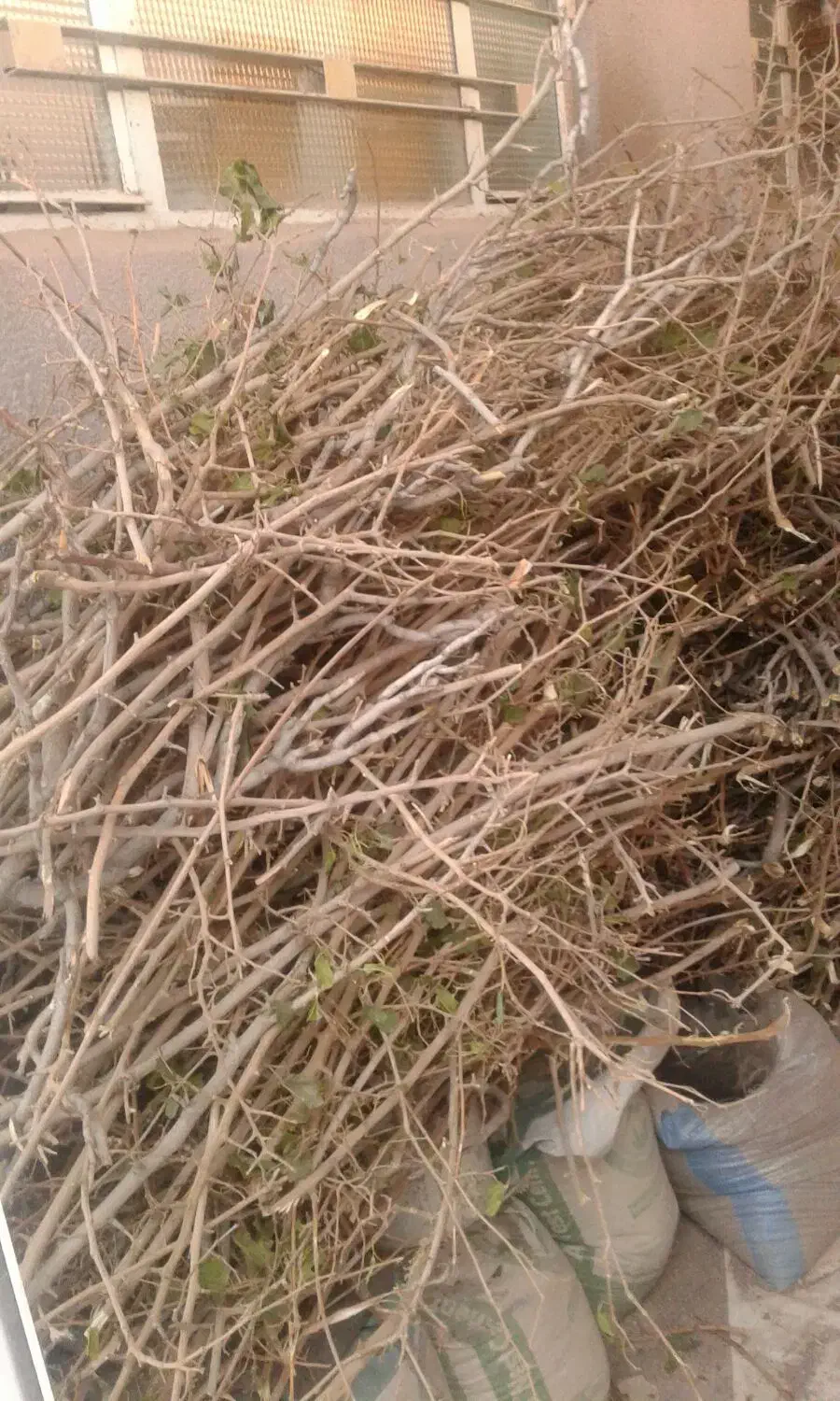 فروش چوب|مصالح و تجهیزات ساختمان|تربت جام, شاد|دیوار